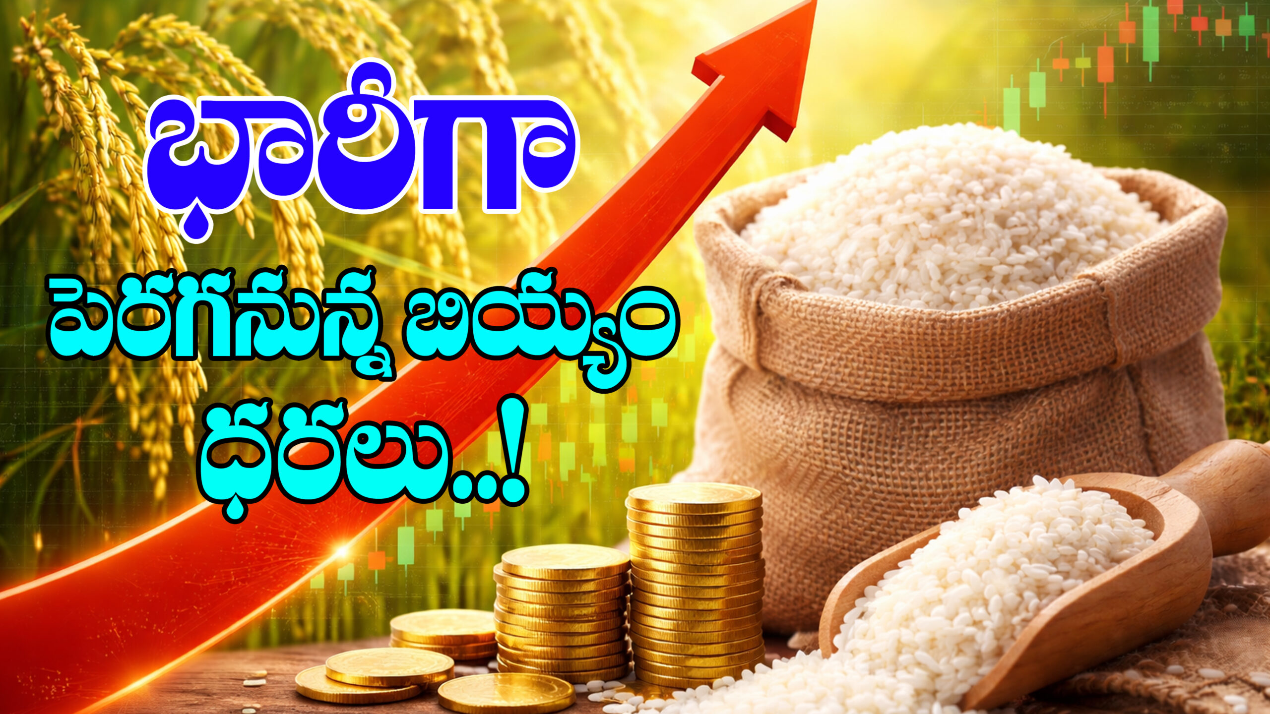 భారీగా పెరుగుతున్న బియ్యం ధరలు…|