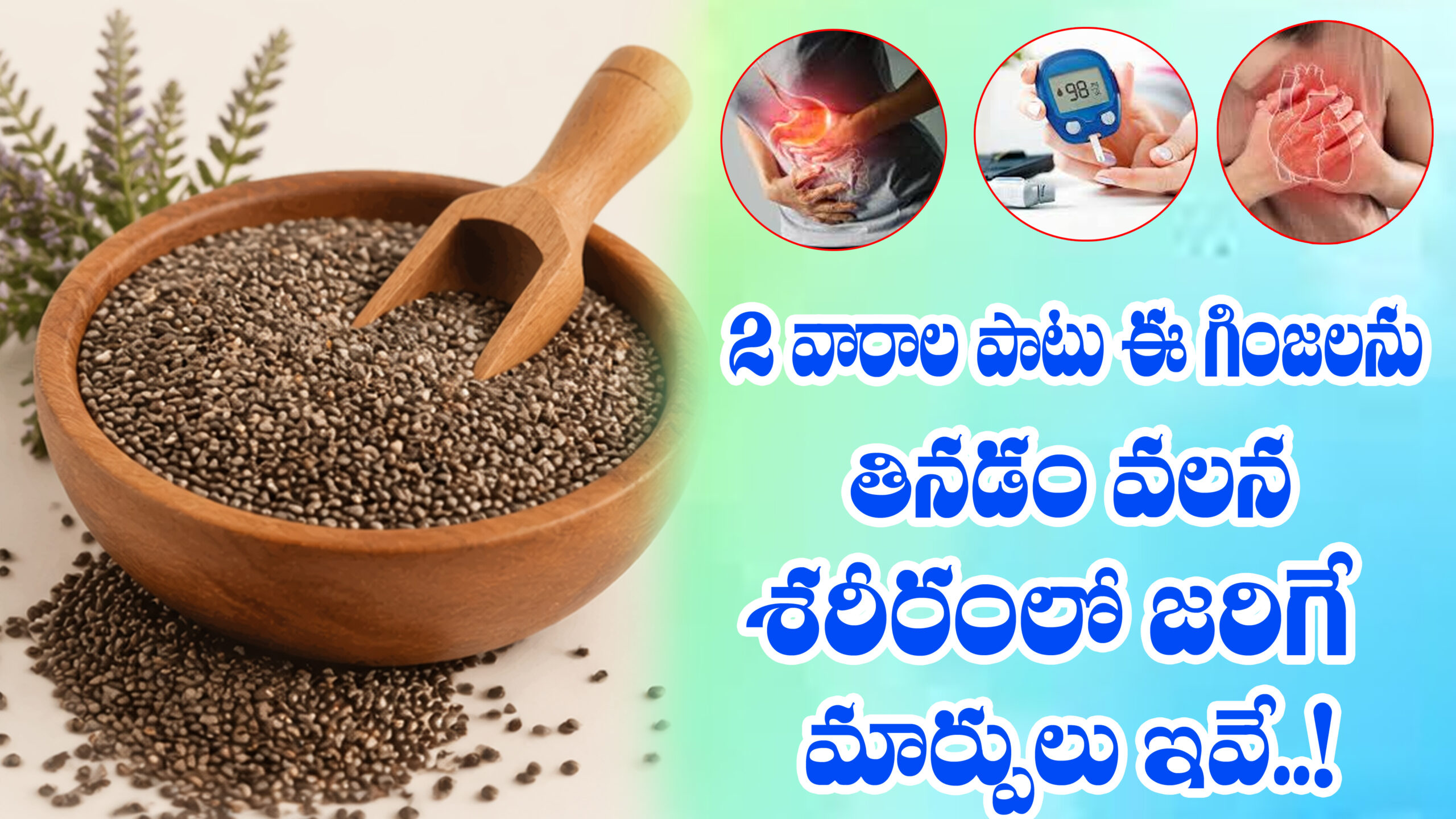 2 వారాల పాటు ఈ గింజ‌ల‌ను తినండి.. శ‌రీరంలో ఎన్నో మార్పులు వ‌స్తాయి..